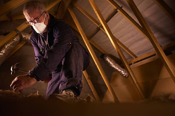 Best Eco-Friendly Insulation in Manor, PA